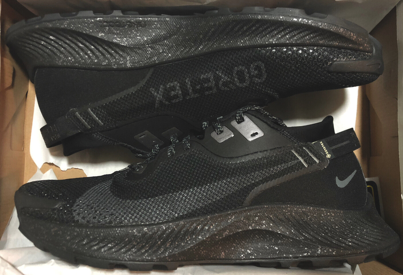 NEW Nike Pegasus Trail 2 Gore-Tex 